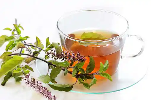  tulsi leaves and tulsi tea in a cup=